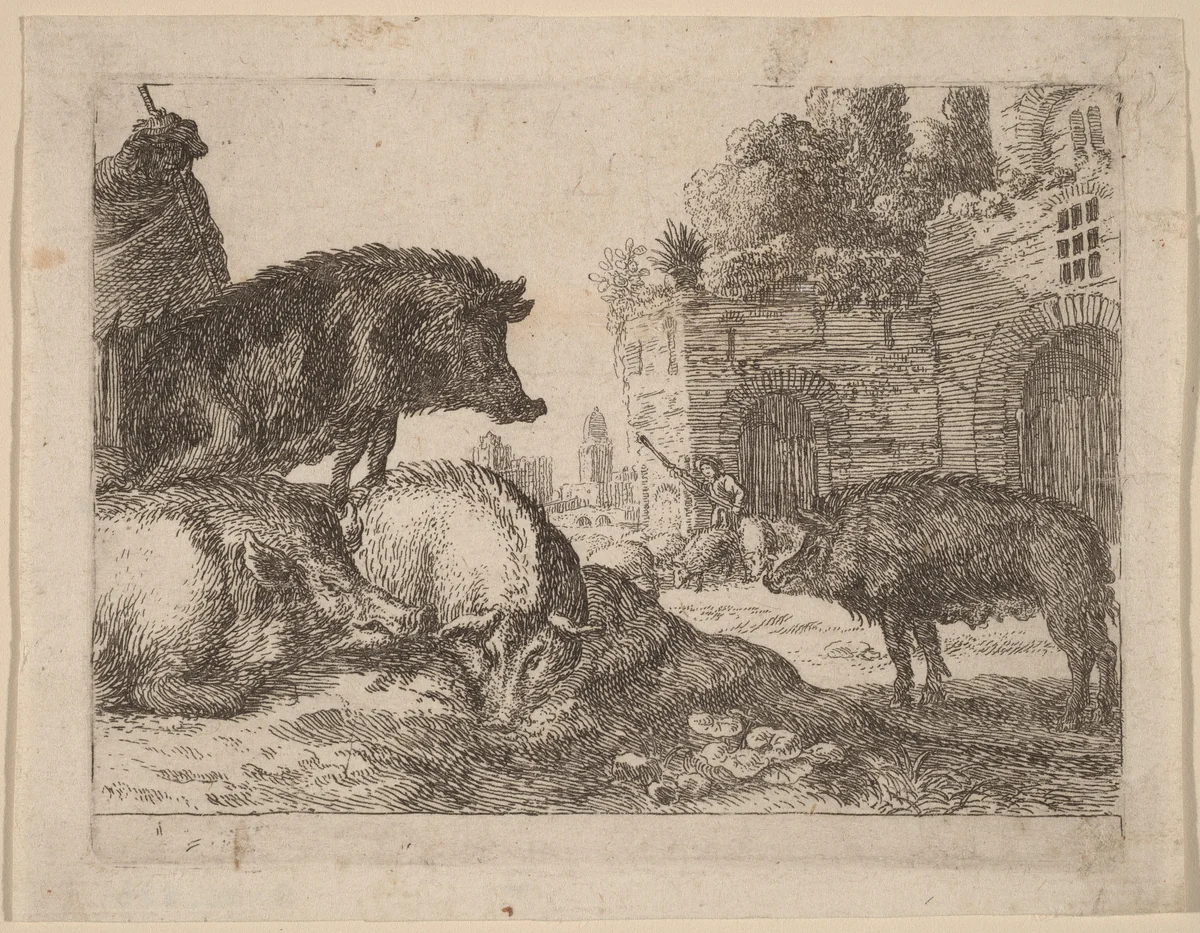 Pigs by Herman van Swanevelt, print, 1600-1655