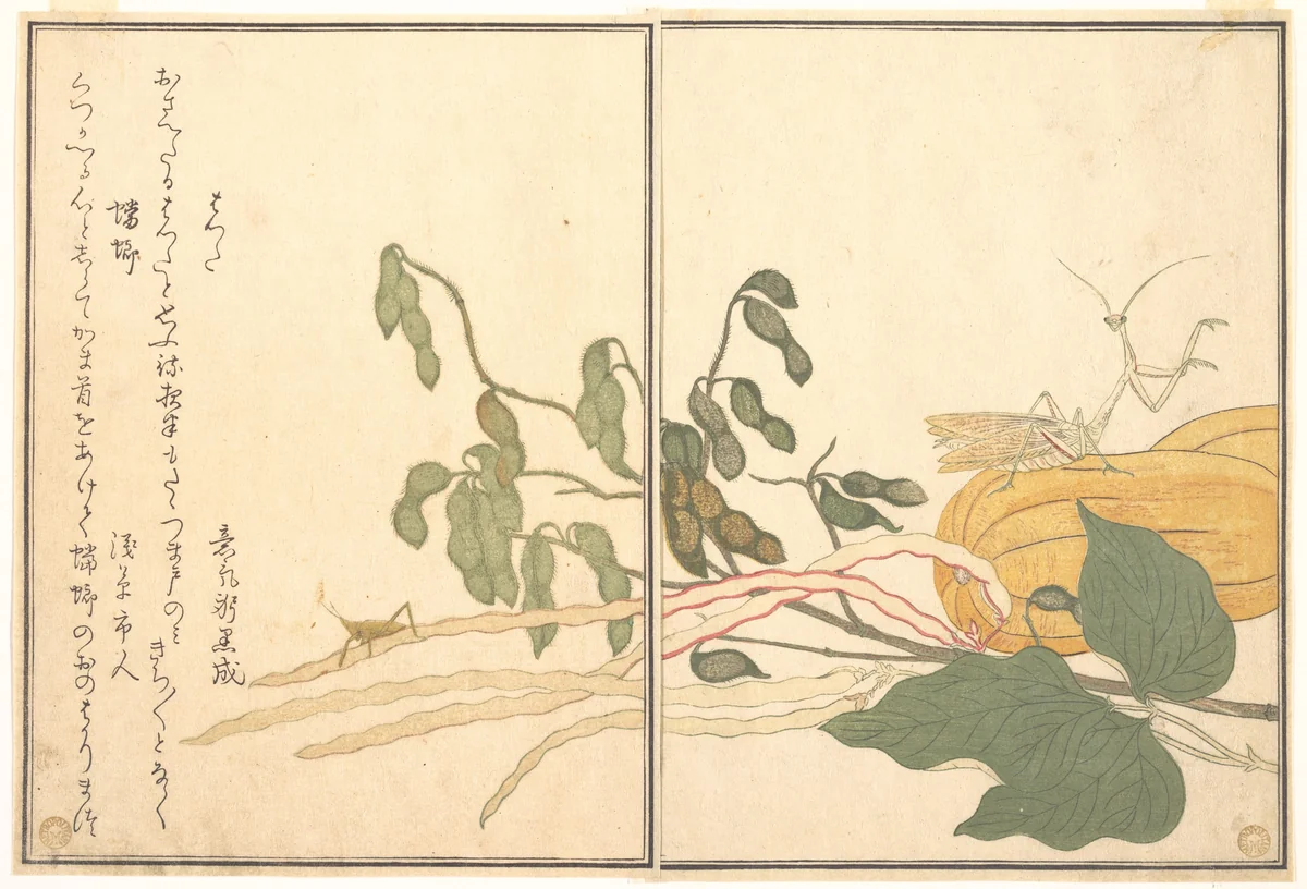 Cone-headed Grasshopper or Locust, (batta); Praying Mantis (Tōrō or Kamakiri), from the Picture Book of Crawling Creatures (Ehon mushi erami) by Kitagawa Utamaro (喜多川歌麿), print, 1788
