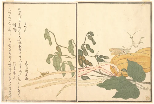Cone-headed Grasshopper or Locust, (batta); Praying Mantis (Tōrō or Kamakiri), from the Picture Book of Crawling Creatures (Ehon mushi erami) by Kitagawa Utamaro (喜多川歌麿), print, 1788