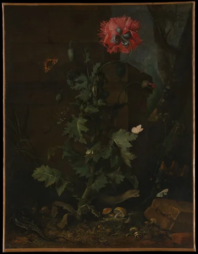 Still Life with Poppy, Insects, and Reptiles by Otto Marseus van Schrieck, painting, 1665-1675