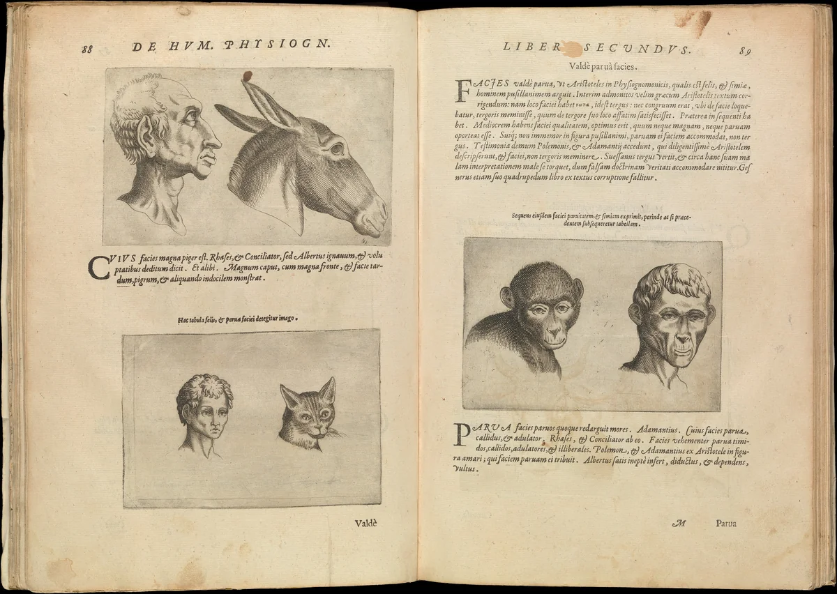 De Humana Physiognomonia. Libri III by Giovanni Battista della Porta, book, 1586