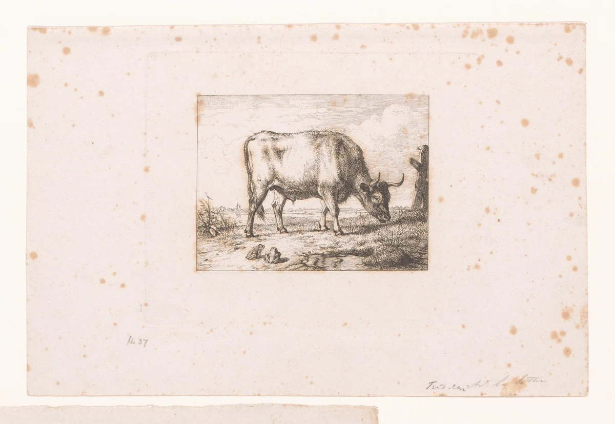Fabel van de kikker die zo groot als een koe wilde zijn by Eugène Verboeckhoven, print, 1830