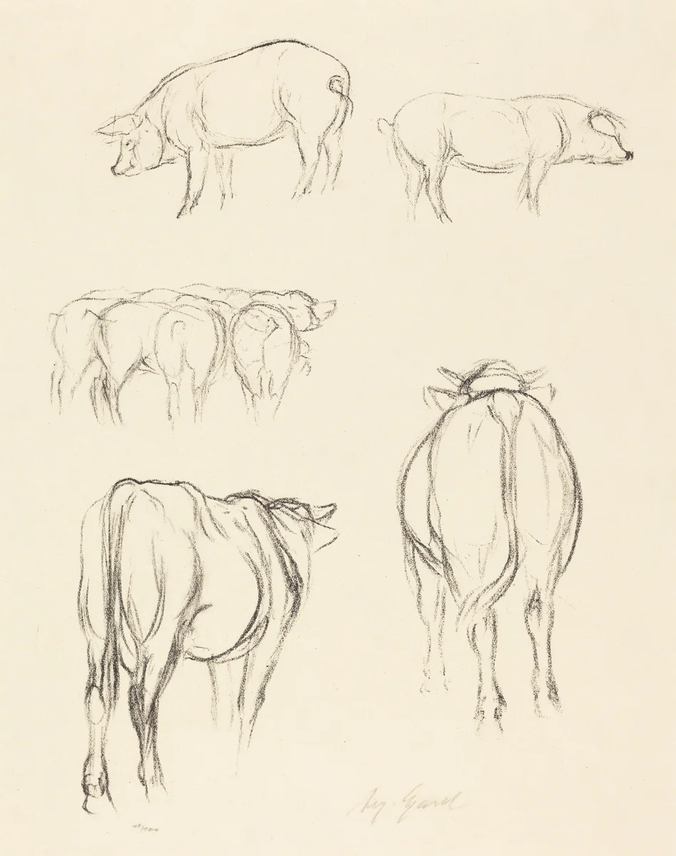 Animal Sketches by August Gaul, print, 1869-1921