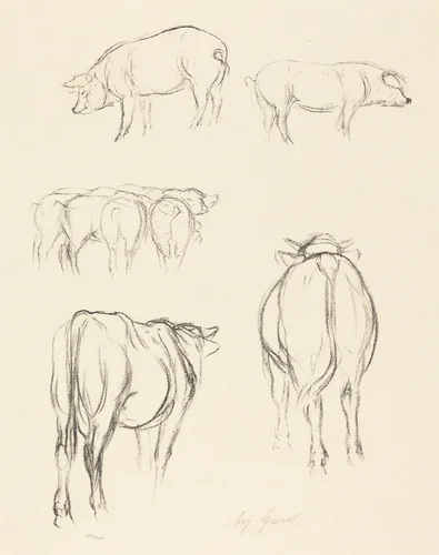 Animal Sketches by August Gaul, print, 1869-1921