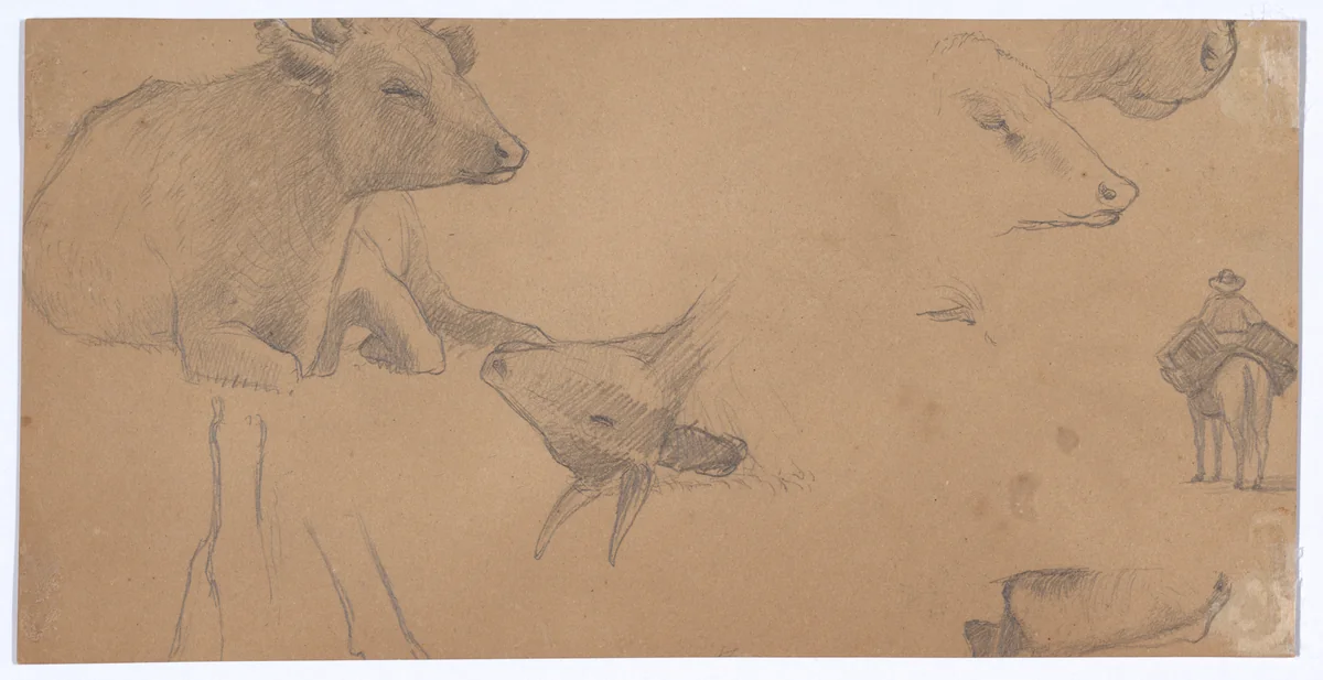 Sketches of a Donkey, a Cow, and a Man on Horseback by Elihu Vedder, artwork, 1836-1923