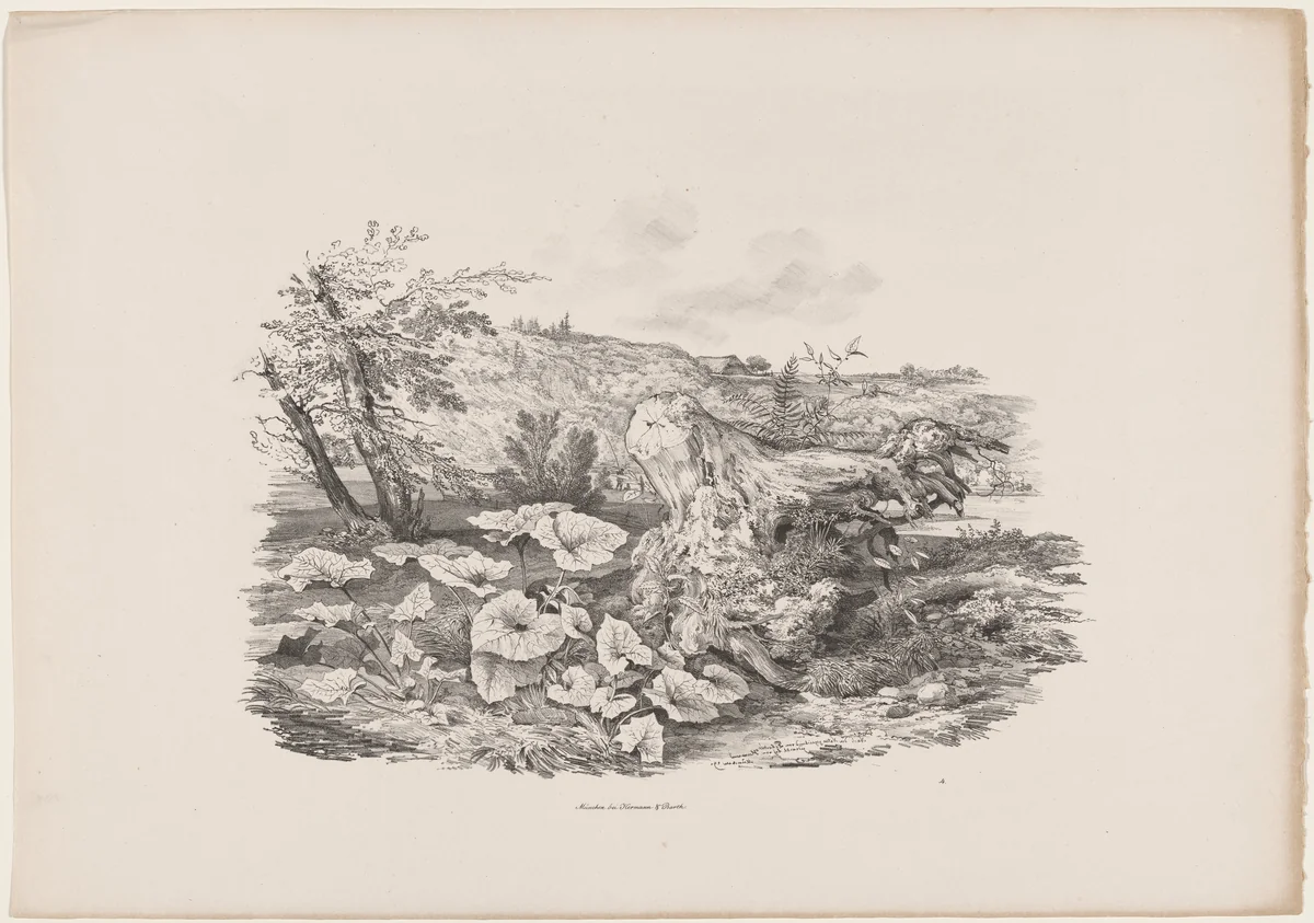 Landscape with a Tree Trunk by Carl August Lebschée; Johannes M. von Hermann, print, 1829