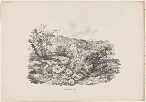 Landscape with a Tree Trunk by Carl August Lebschée; Johannes M. von Hermann, print, 1829