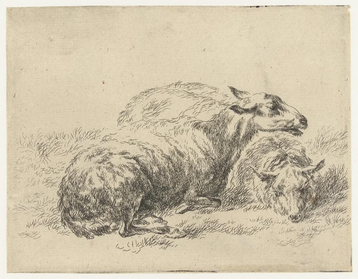 Twee liggende schapen by Nicolaes Pietersz Berchem, print, 1630-1683