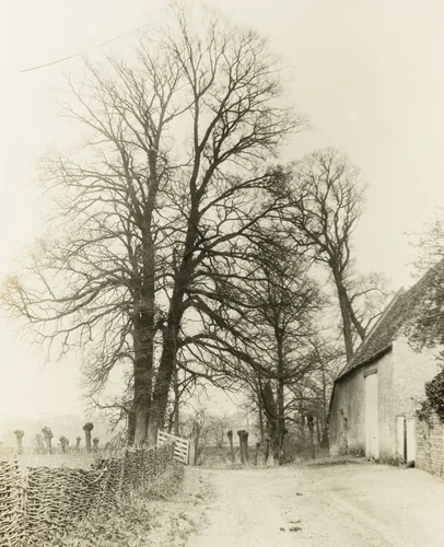 Kelmscott Manor: Road and Entrance by Frederick Evans, photograph, 1896