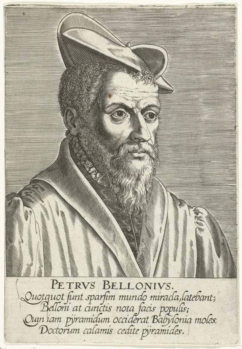 Portret van Pierre Belon by Philips Galle, print, 1587-1606