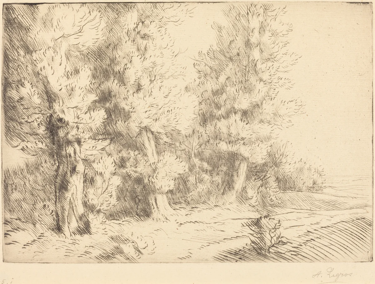 In the Forest of Fontainebleau (Dans la foret de Fontainebleau) by Alphonse Legros, print, 1837-1911