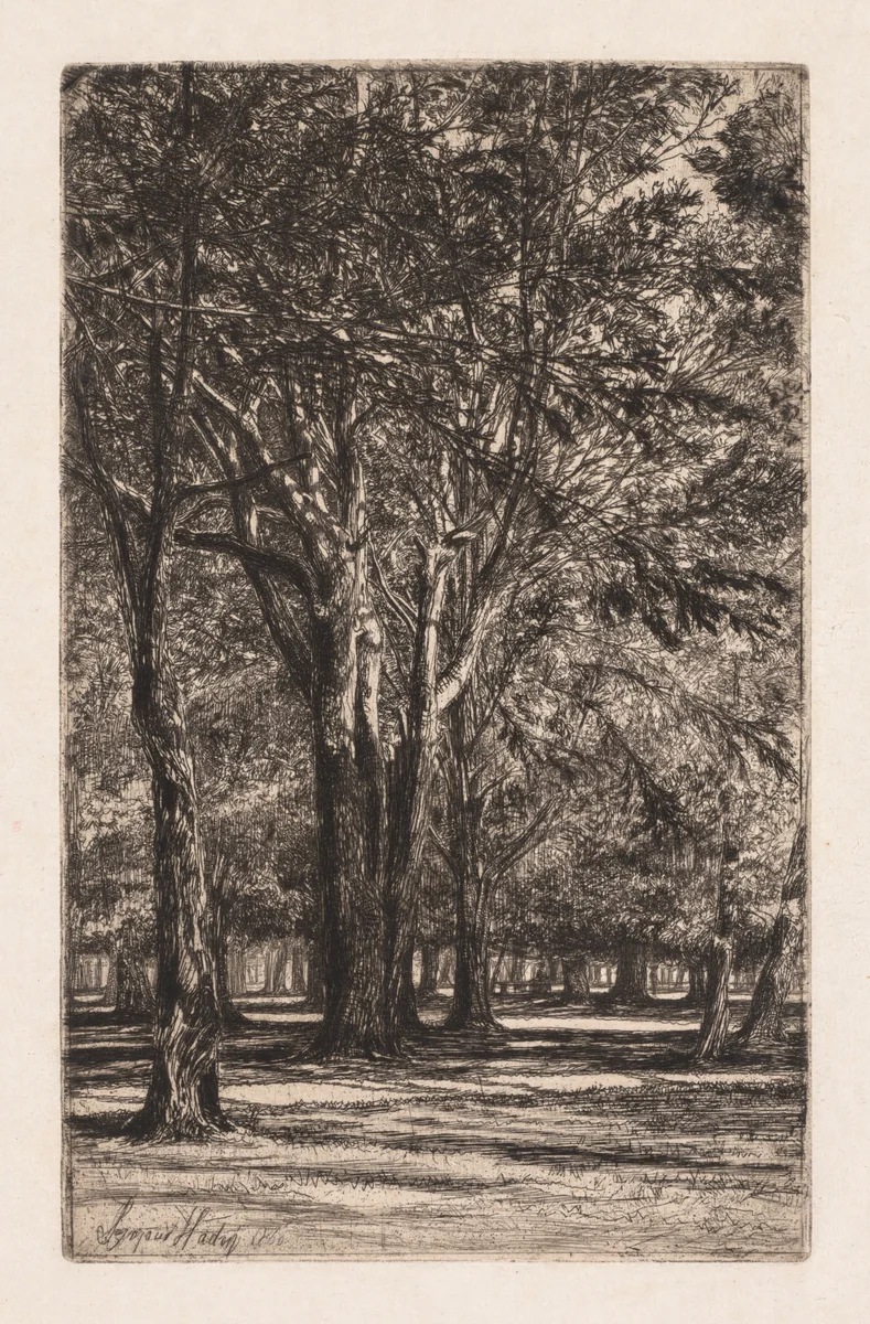Kensington Gardens, No. 2 (The Larger Plate) by Francis Seymour-Haden, print, 1860