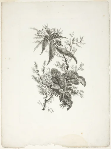 Bouquet, from Collection of New Flowers of Taste for the Manufacture of Persian Cloth, Invented and Drawn by Jean Pillement by Johann Heinrich Hess, print, 1765-1770
