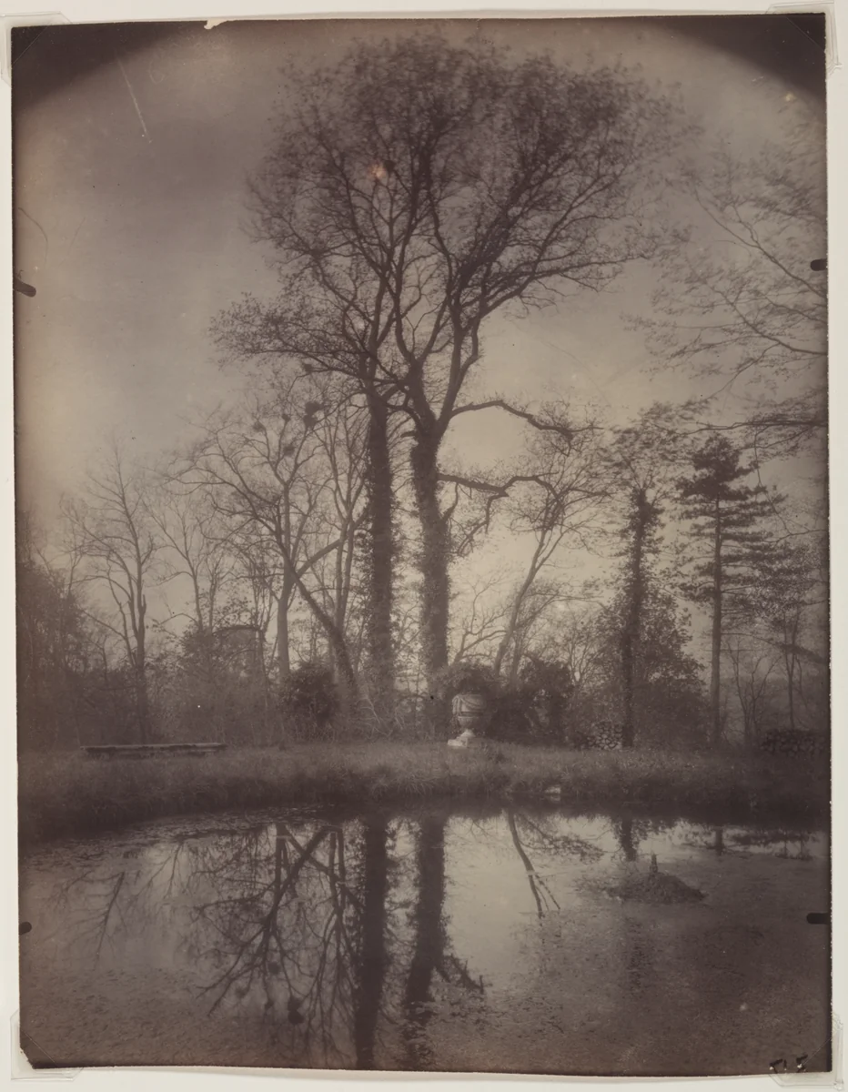 The Park at Sceaux [April 1925, 7a.m.] by Eugène Atget, photograph, 1925