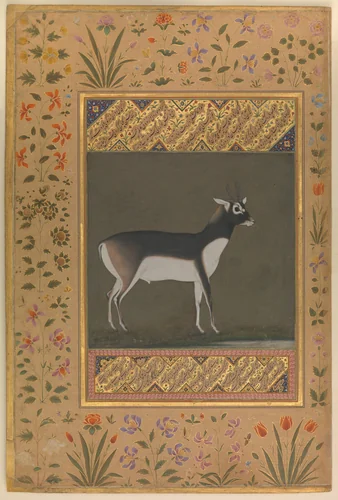 "Black Buck", Folio from the Shah Jahan Album by Manohar, manuscript, 1505-1645