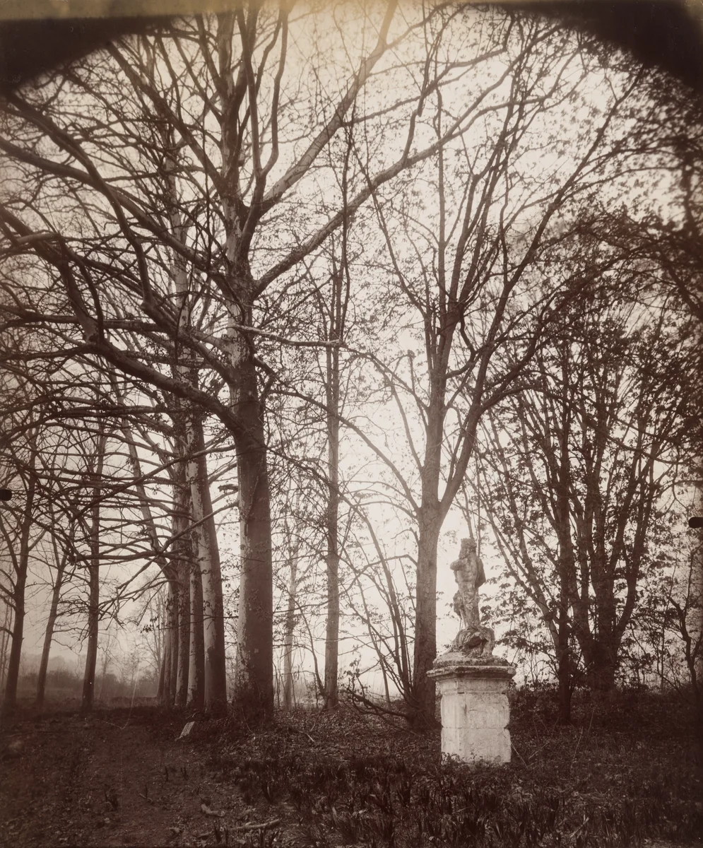 Parc de Sceaux by Eugène Atget, photograph, 1925