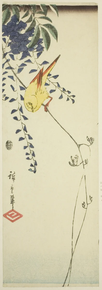 Canary and wisteria by Utagawa Hiroshige (歌川広重), print, 1838-1852