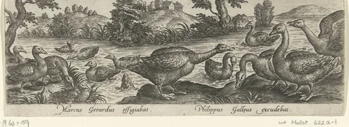 Ganzen en eenden by Unknown, print, 1547-1590