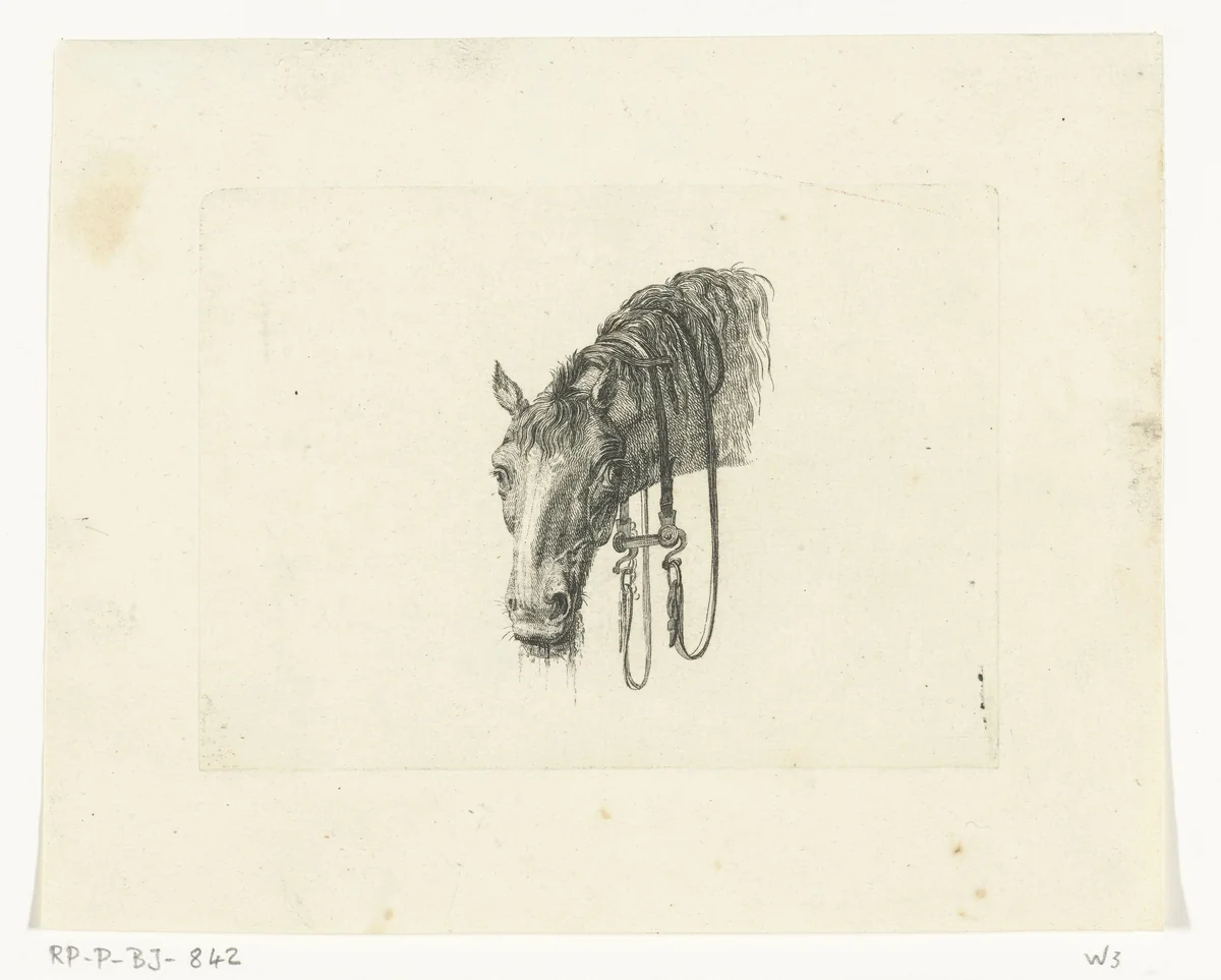 Paardenhoofd met hangende leidsels, van voren gezien by Joannes Bemme, print, 1801