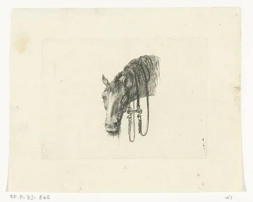 Paardenhoofd met hangende leidsels, van voren gezien by Joannes Bemme, print, 1801