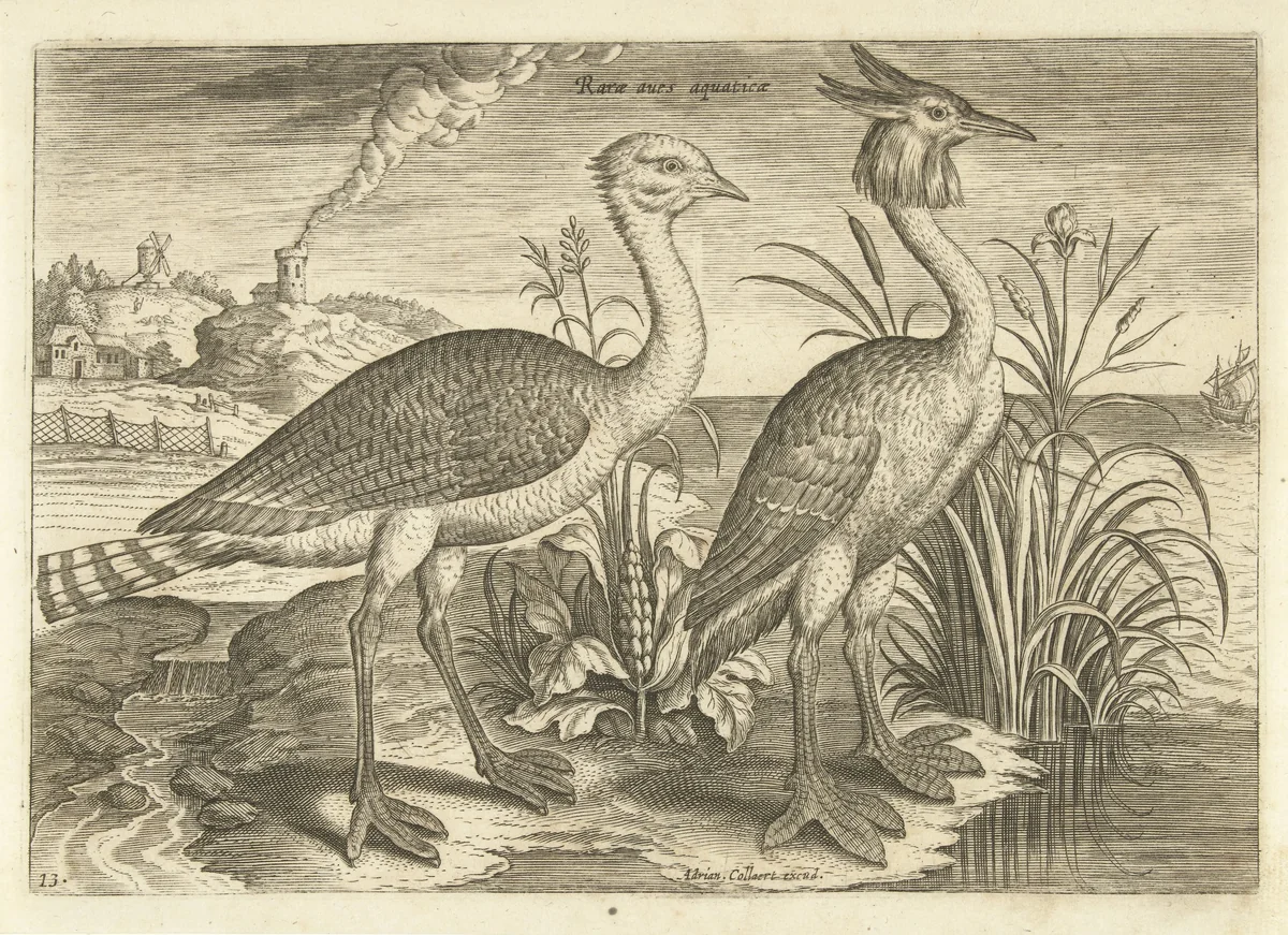 Twee waadvogels in een landschap by Adriaen Collaert, print, 1598-1602