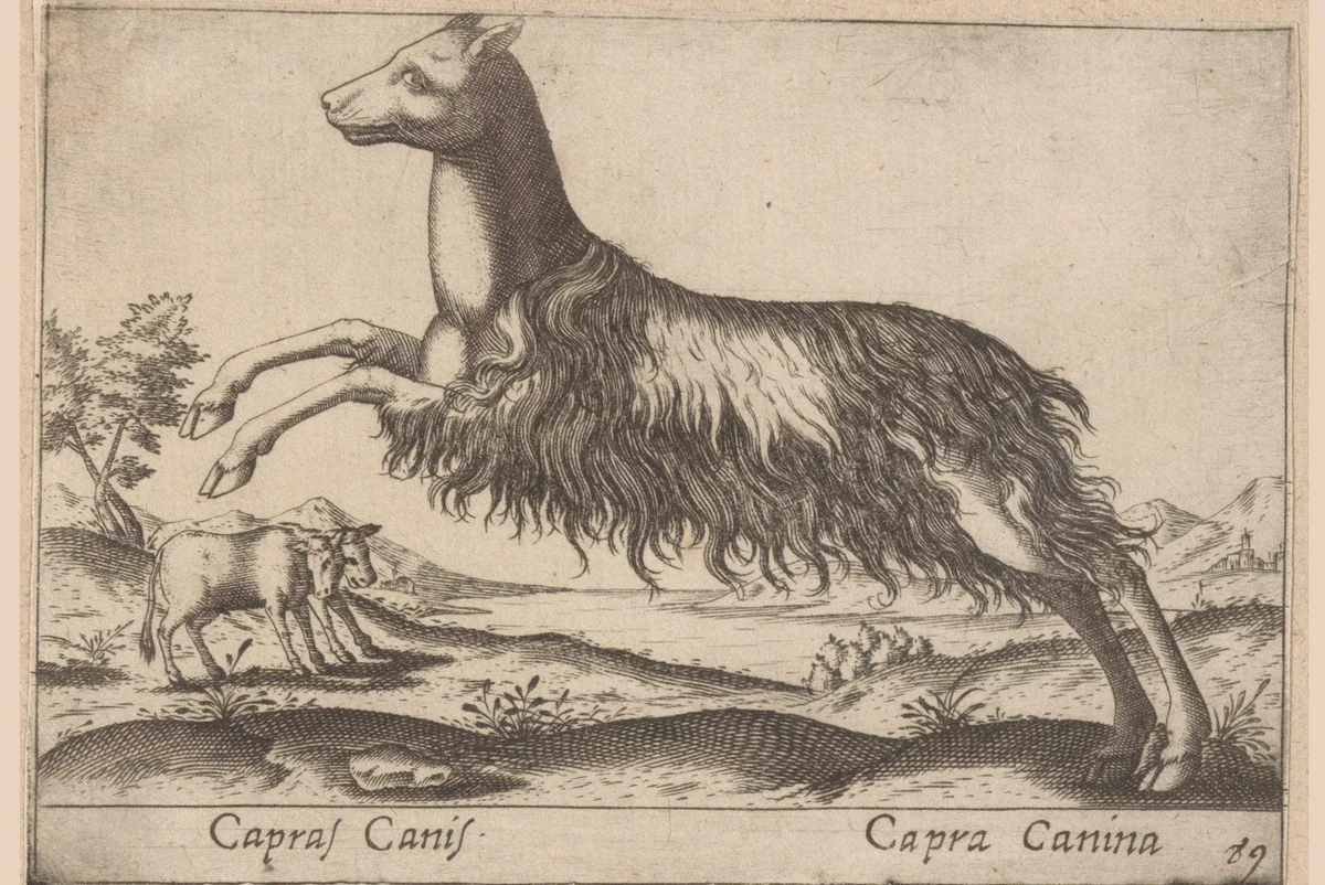Wezen half hond en half geit by Antonio Tempesta, print, 1565-1630