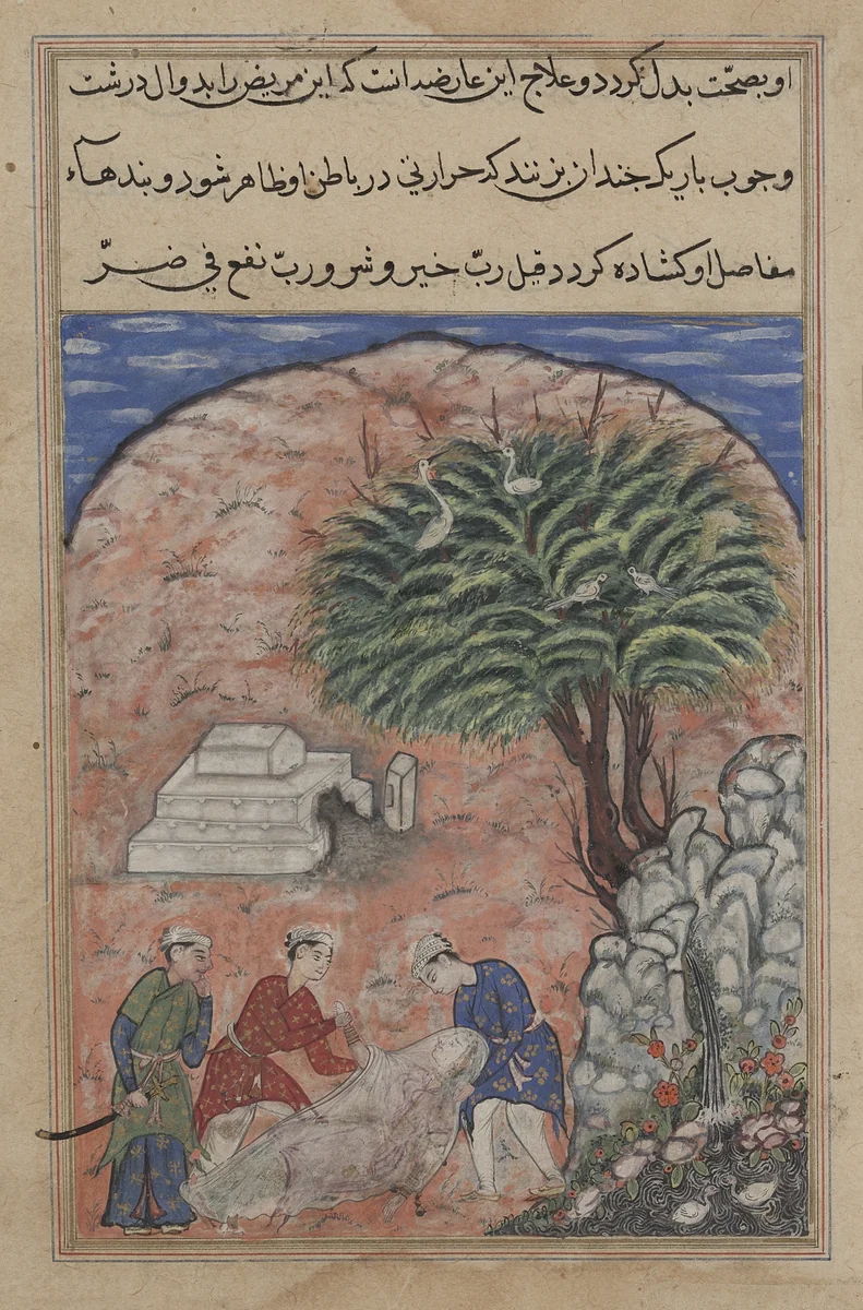 The suitors take the devotee’s daughter out of her tomb after breaking it open, when the physician discovers she is still alive, from a Tuti-nama (Tales of a Parrot): Twentieth Night by Unknown, painting, 1555-1565
