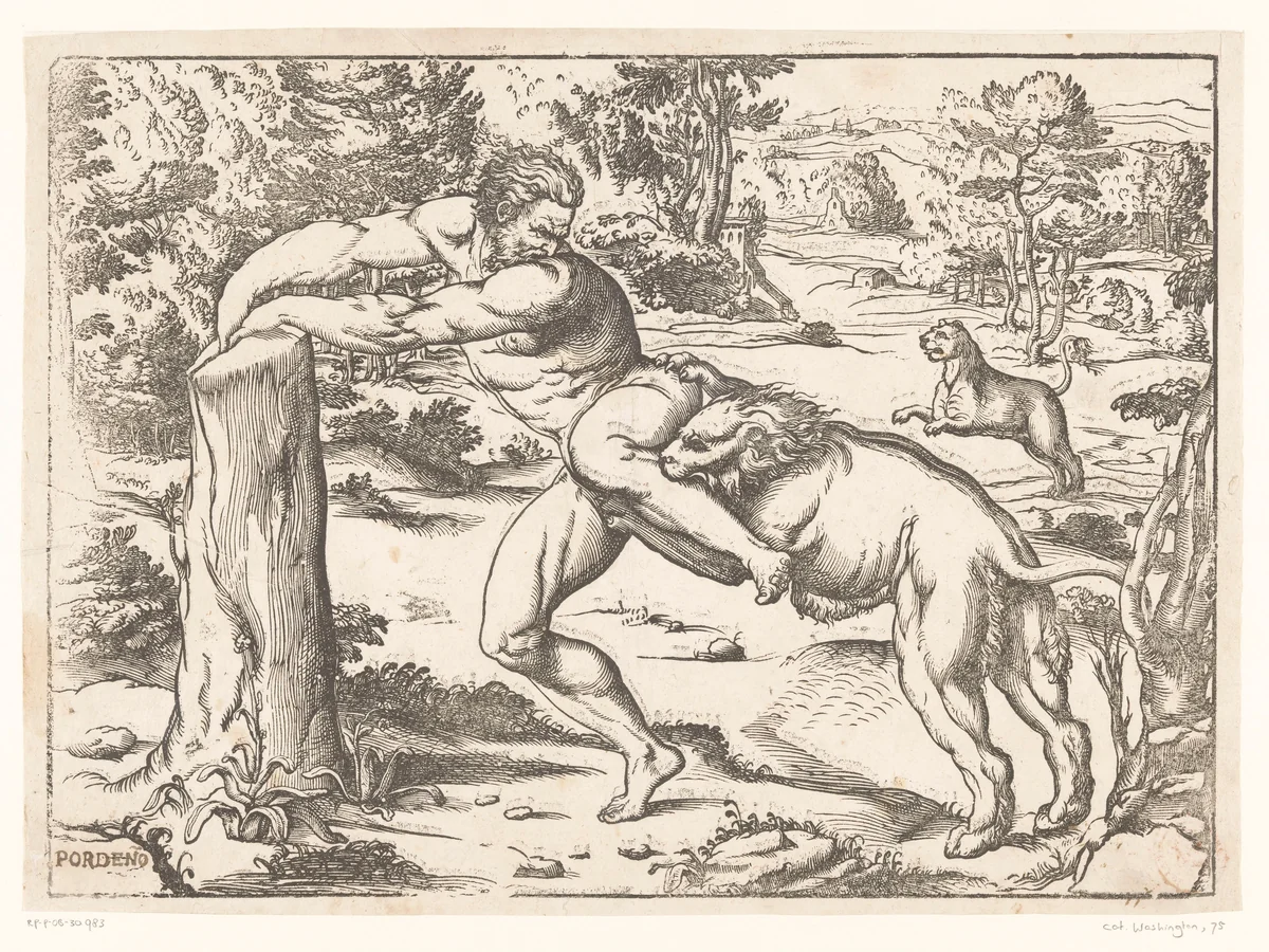 Milo van Croton aangevallen door een leeuw by Unknown, print, 1540