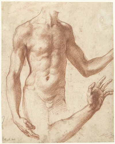 Studie van een torso by Perino del Vaga, drawing, 1534