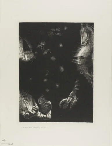 Different Peoples Inhabit the Countries of the Ocean, plate 23 of 24 by Odilon Redon, print, 1896