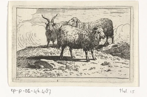 Twee schapen en een geit by Govert van der Leeuw, print, 1655-1688
