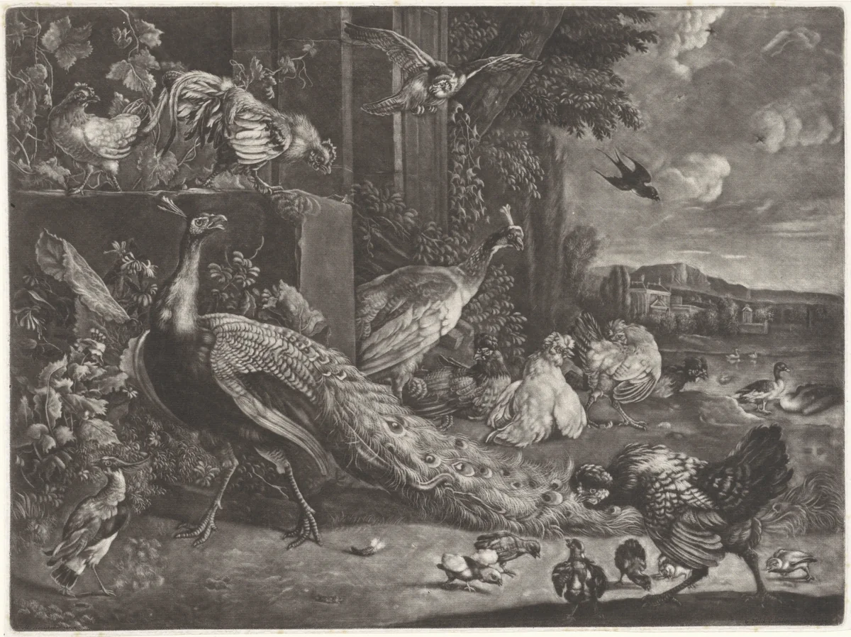 Landschap met gevogelte by anonymous, print, 1662-1726