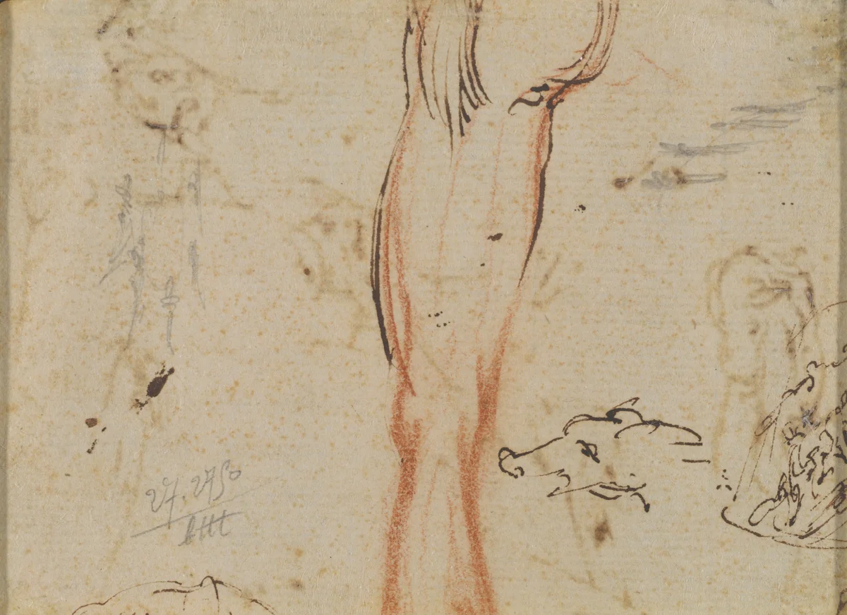 A Leg and a Pig's Head by Jacques Callot, drawing, 1616-1617
