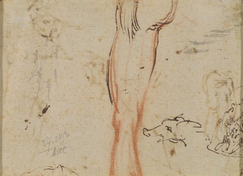 A Leg and a Pig's Head by Jacques Callot, drawing, 1616-1617