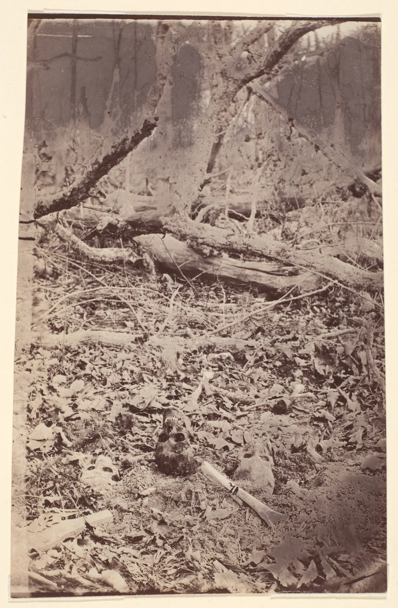 [The Wilderness Battlefield, near Spotsylvania, Virginia] by G. O. Brown, photograph, 1866