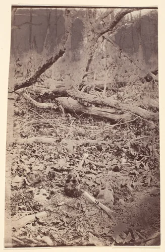 [The Wilderness Battlefield, near Spotsylvania, Virginia] by G. O. Brown, photograph, 1866