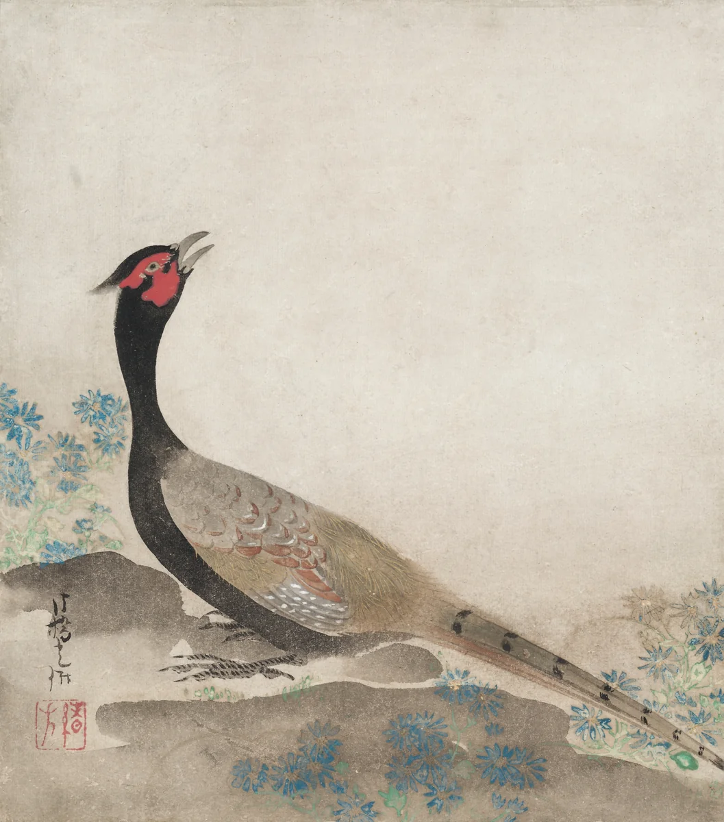 Pheasant by Ogata Kōrin, painting, 1658-1716