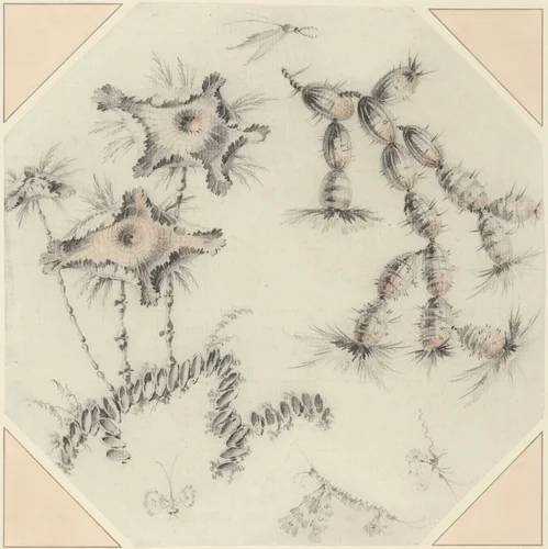 Bamboo Flowers and Cactus by Jean Baptiste Pillement, drawing, 1728-1808
