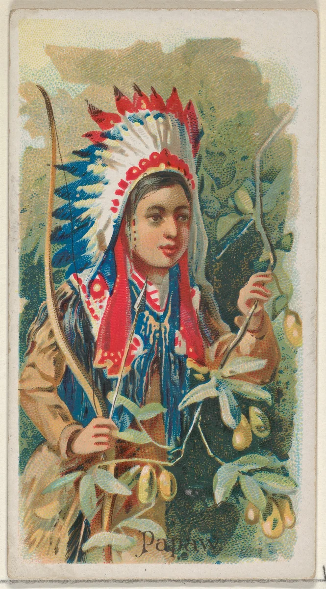 Papaw, from the Fruits series (N12) for Allen & Ginter Cigarettes Brands by Allen & Ginter, print, 1891