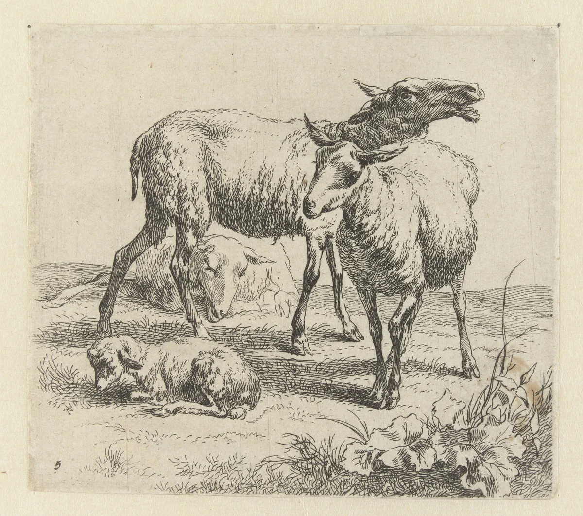 Blatend schaap tussen twee schapen en een lam by Nicolaes Pietersz Berchem, print, 1646-1652