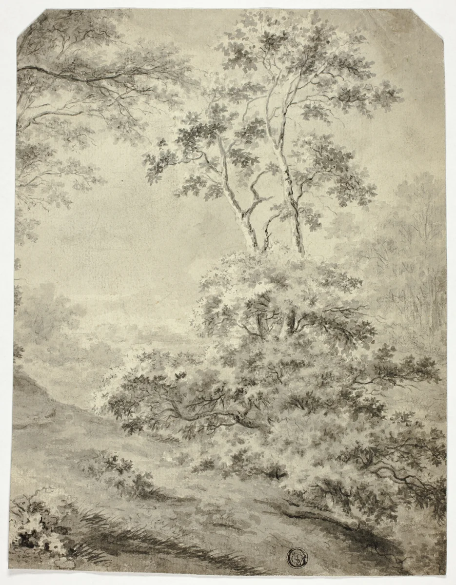 Forest Clearing by Jan Both, drawing, 1638-1652