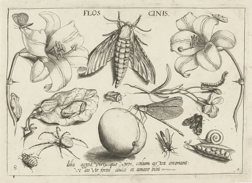 Dieren, planten en vruchten rond een mot by Jacob Hoefnagel, print, 1592