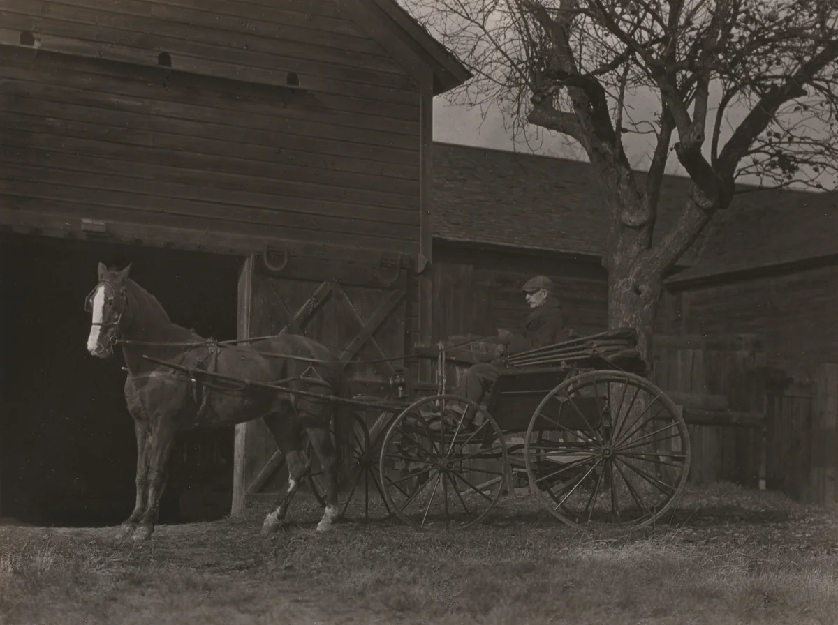 Horse and Carriage by Alfred Stieglitz, photograph, 1922