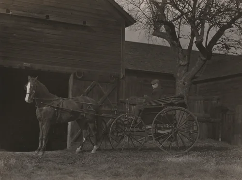 Horse and Carriage by Alfred Stieglitz, photograph, 1922