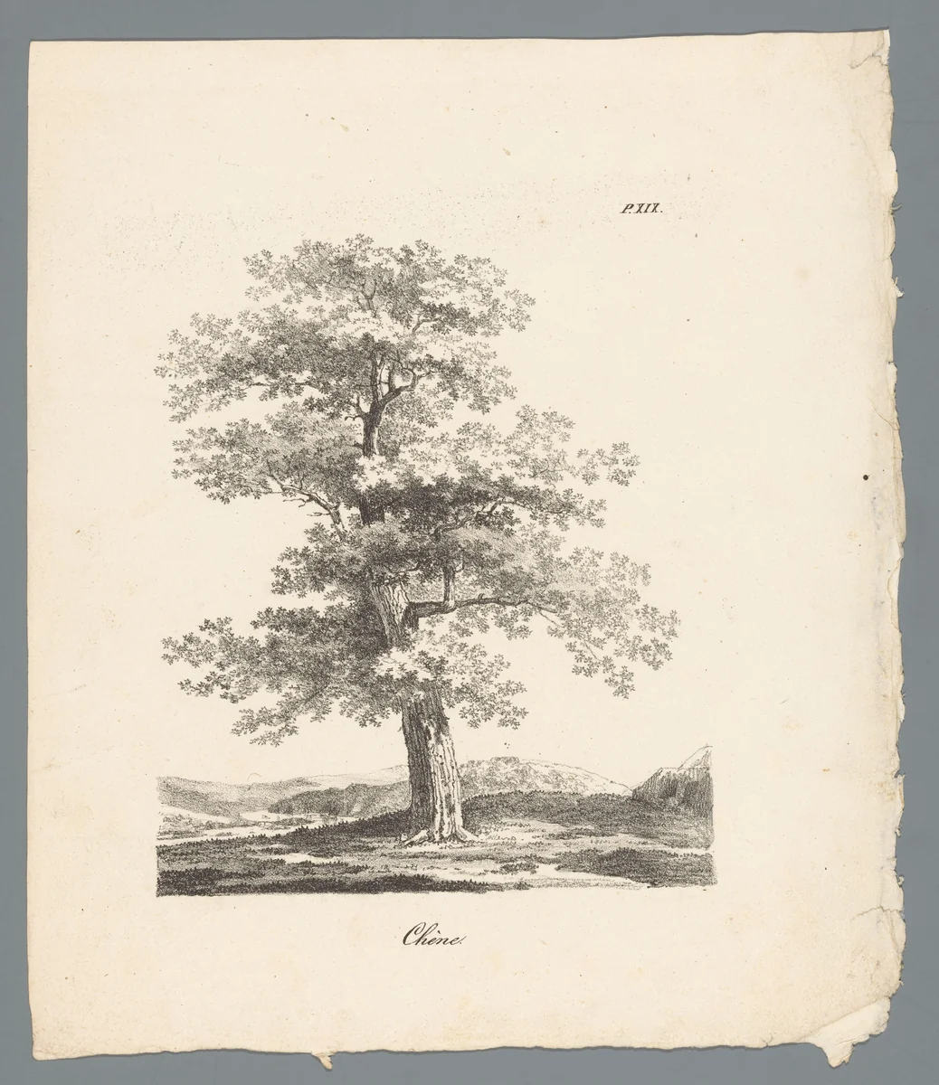 Eik by J. Bernard, print, 1820-1833