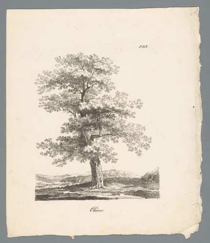Eik by J. Bernard, print, 1820-1833