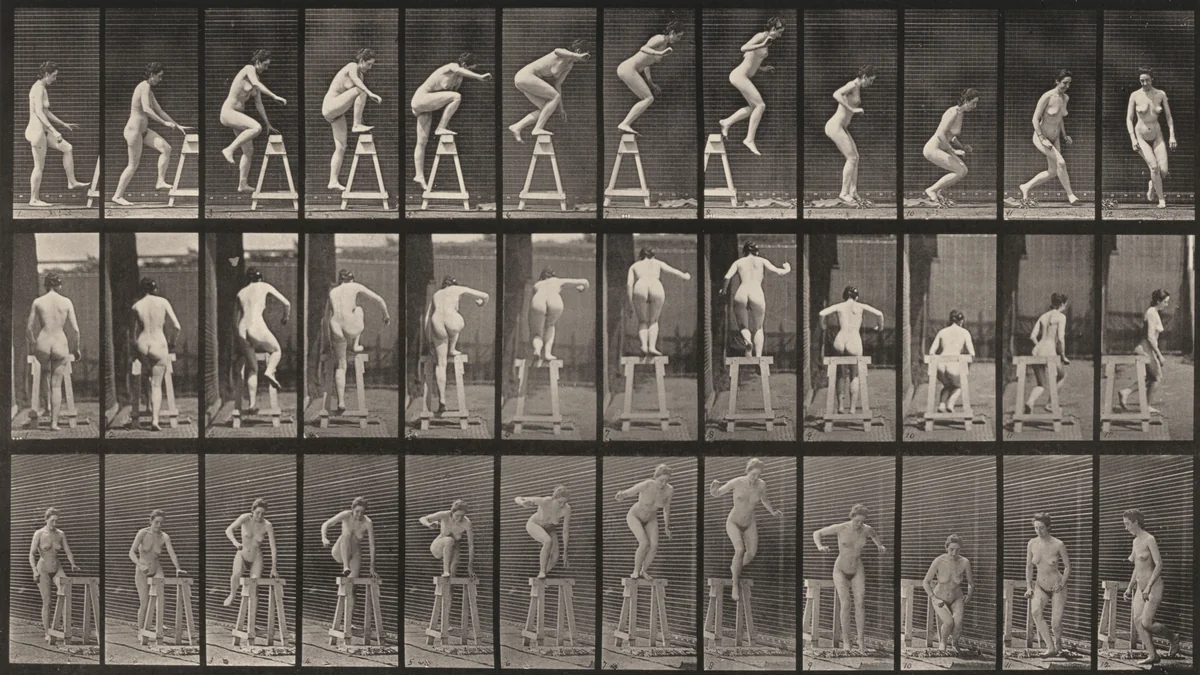 Plate Number 171. Stepping up on a trestle, jumping down and turning by Eadweard Muybridge, photograph, 1887