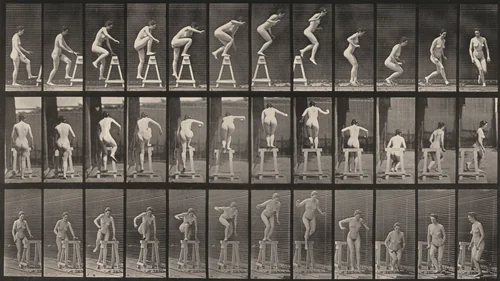 Plate Number 171. Stepping up on a trestle, jumping down and turning by Eadweard Muybridge, photograph, 1887
