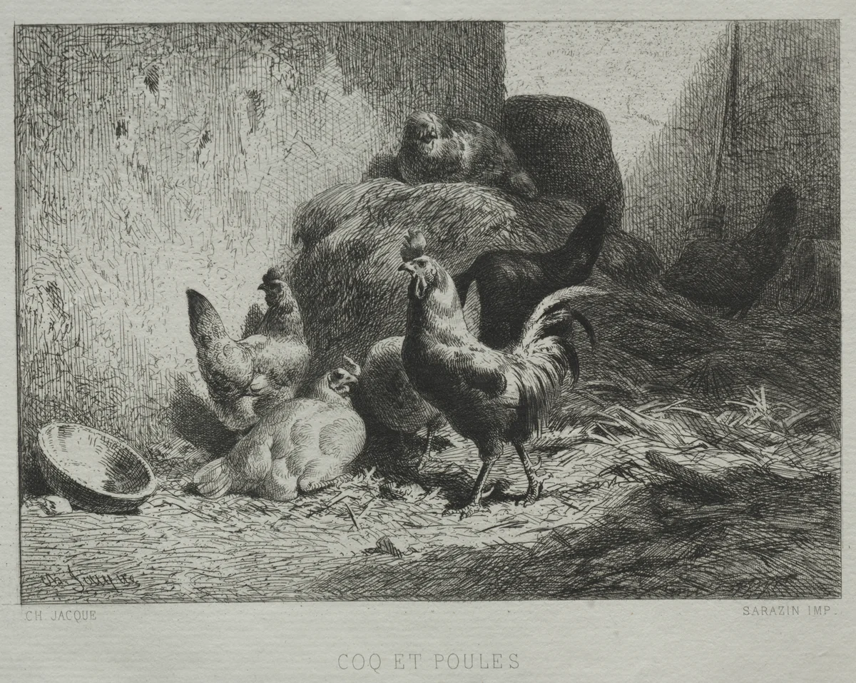 Cock and Hens by Charles-Émile Jacque, print, 1864