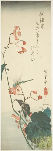 Dragonfly and begonia by Utagawa Hiroshige (歌川広重), print, 1830-1839